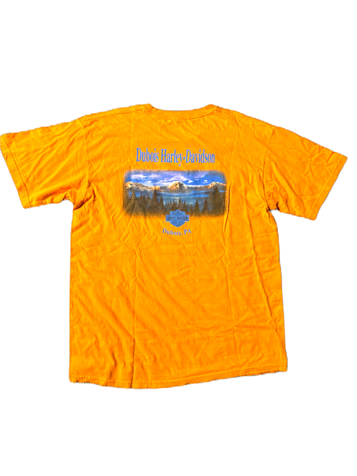 Vintage Harley Davidson Eternal Dragon Tee.