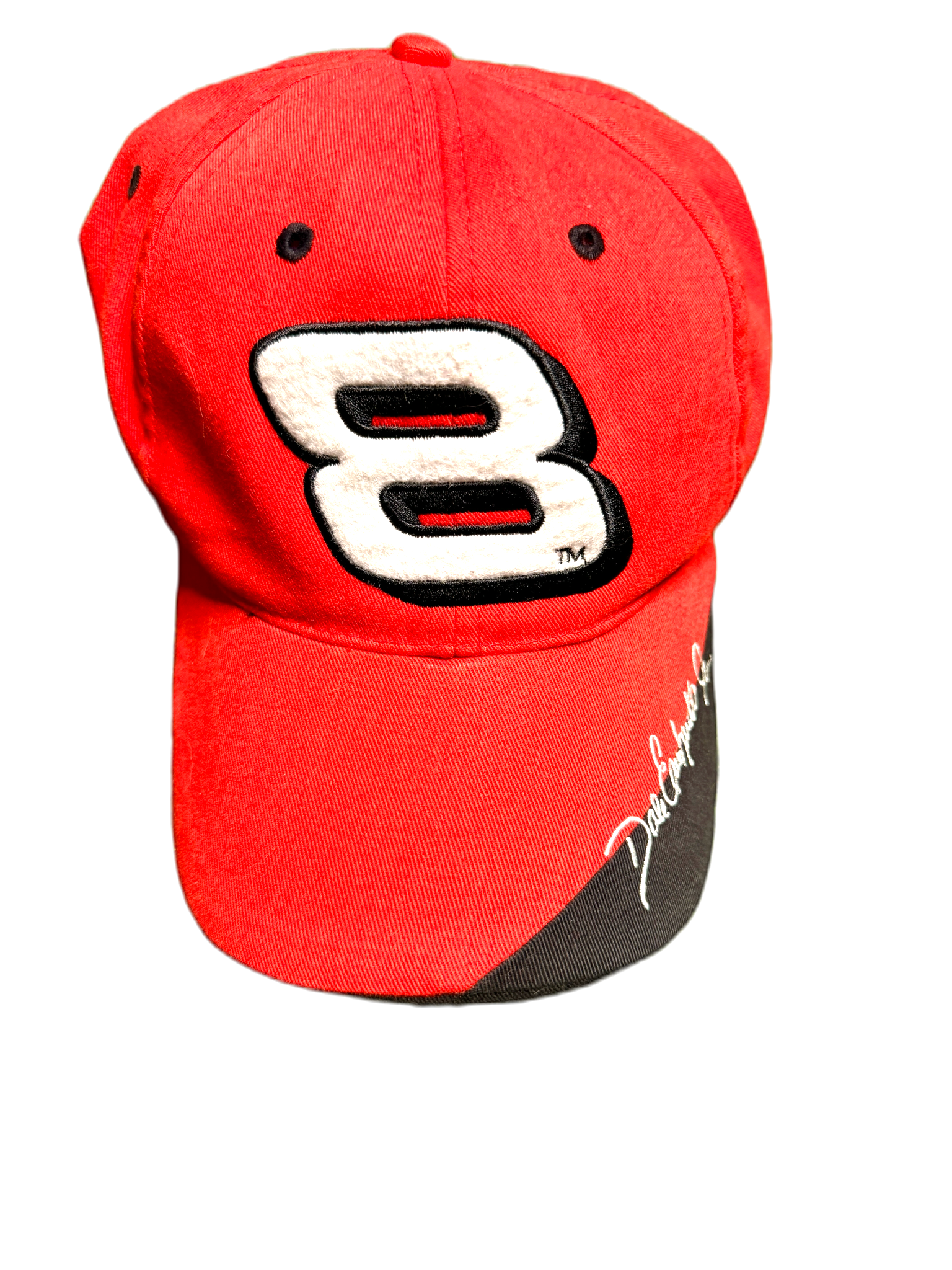 Vintage Dale Earnhardt Cap